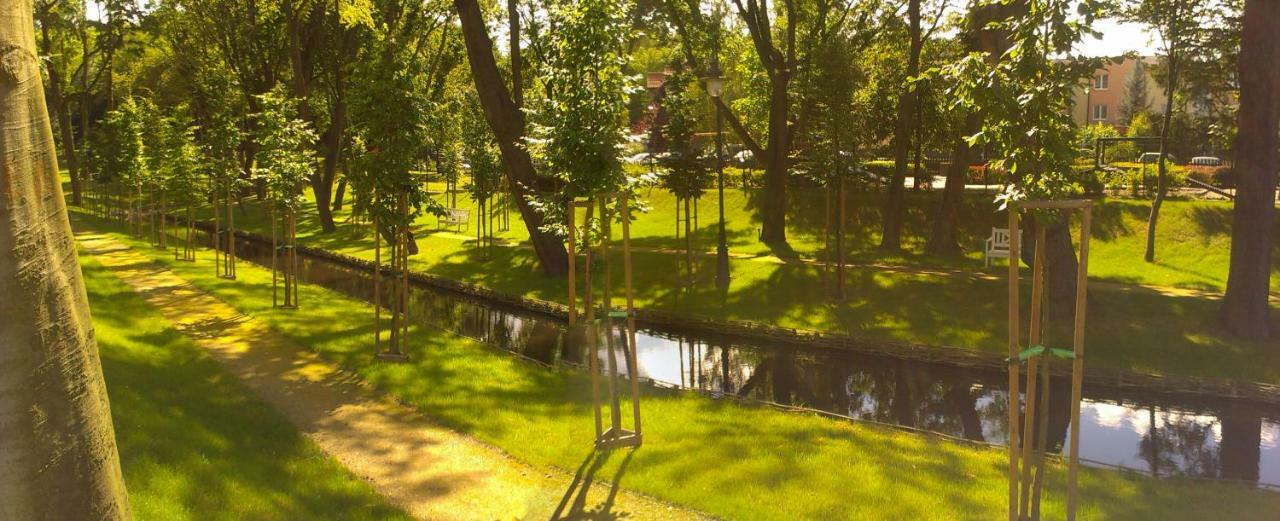 Gdynia Orlowo Honey Apartment エクステリア 写真
